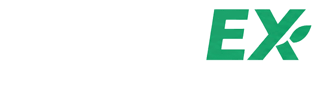 MaidEX Cleaning Services
