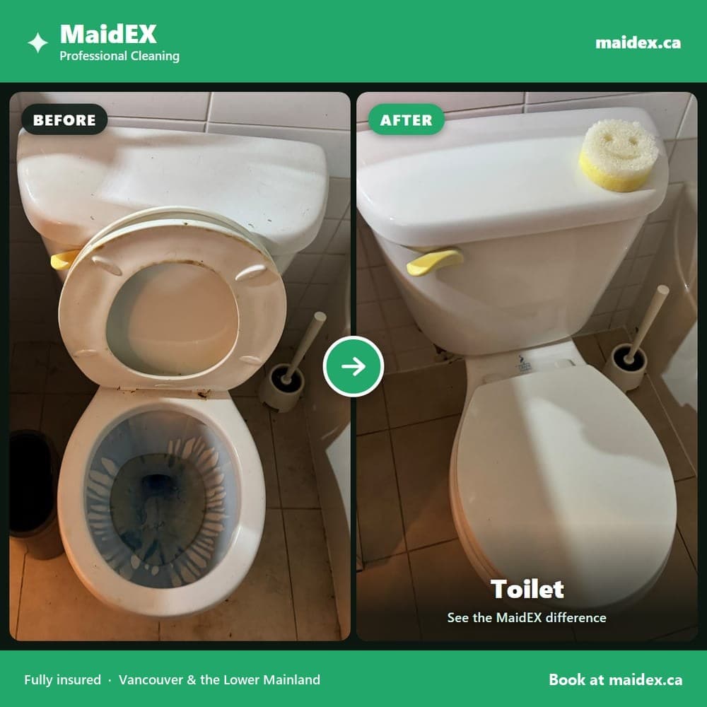 Toilet before and after a MaidEX clean