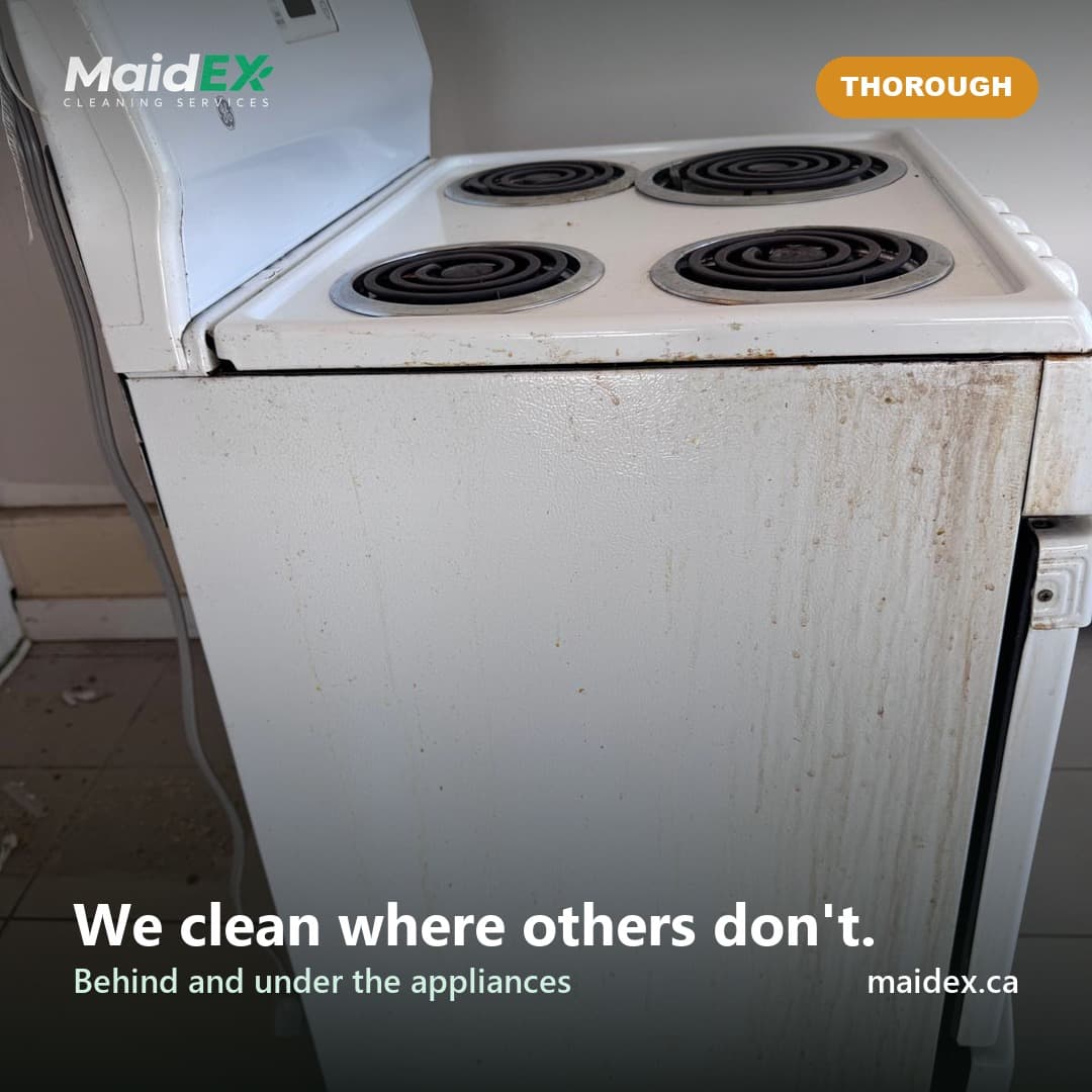 Cleaning behind and under a pulled-out stove during a MaidEX move-out clean