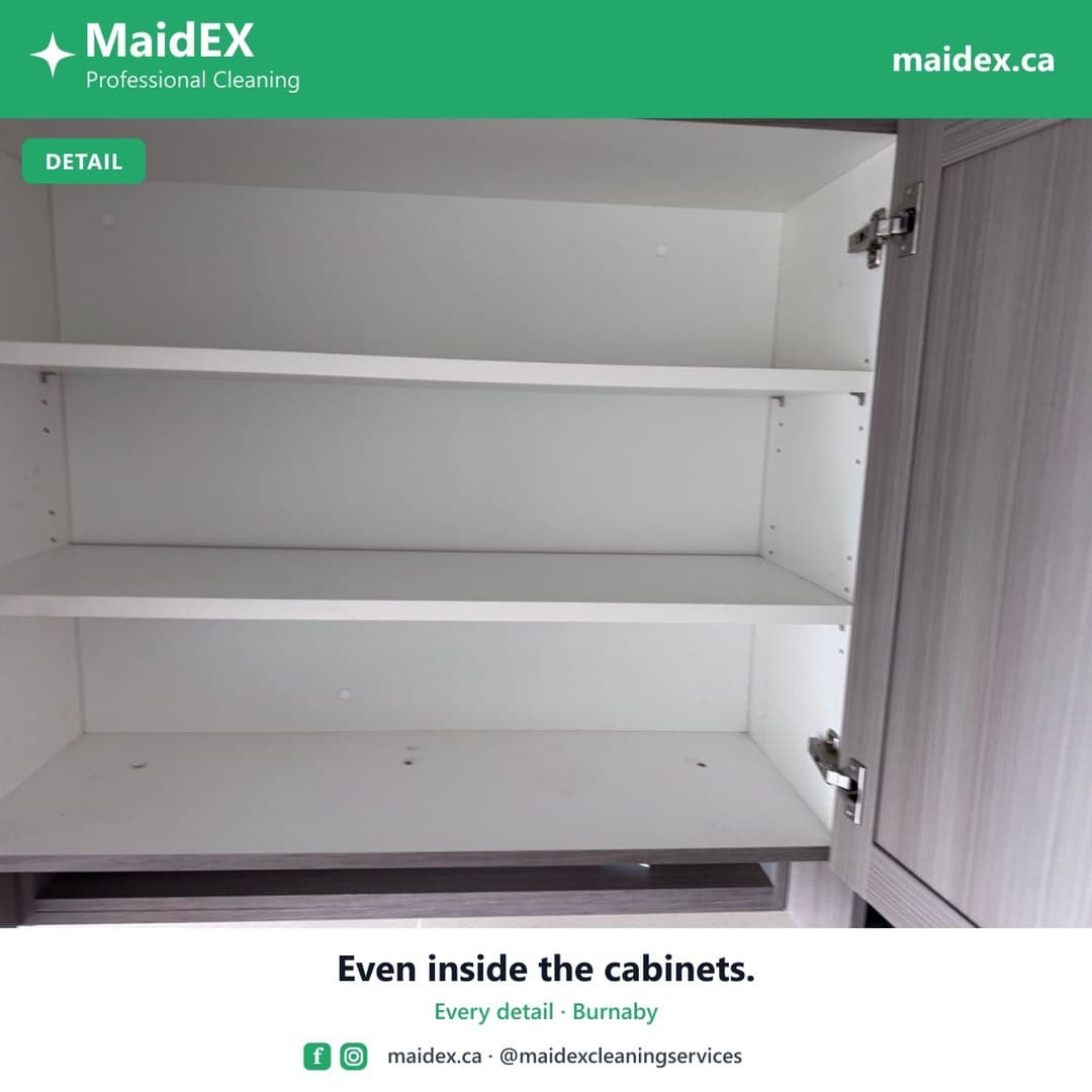 Empty kitchen cabinet wiped clean inside during a MaidEX move-out clean in Burnaby