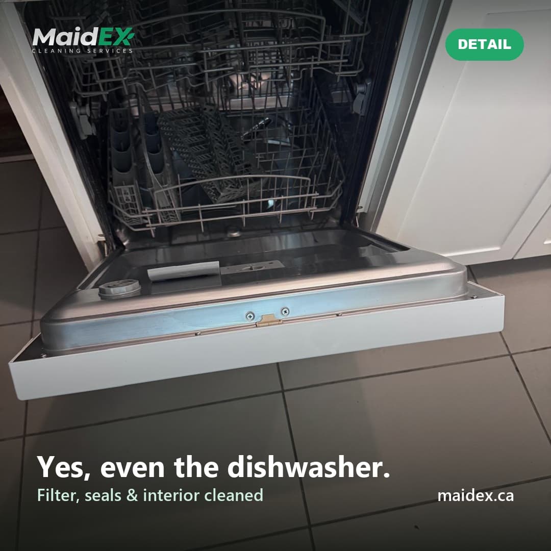 Dishwasher interior, filter and seals cleaned during a MaidEX move-out clean